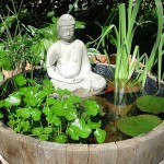 giardino acquatico con piante da laghetto, ninfee e giunco di palude per creare laghetti e giochi d'acqua.